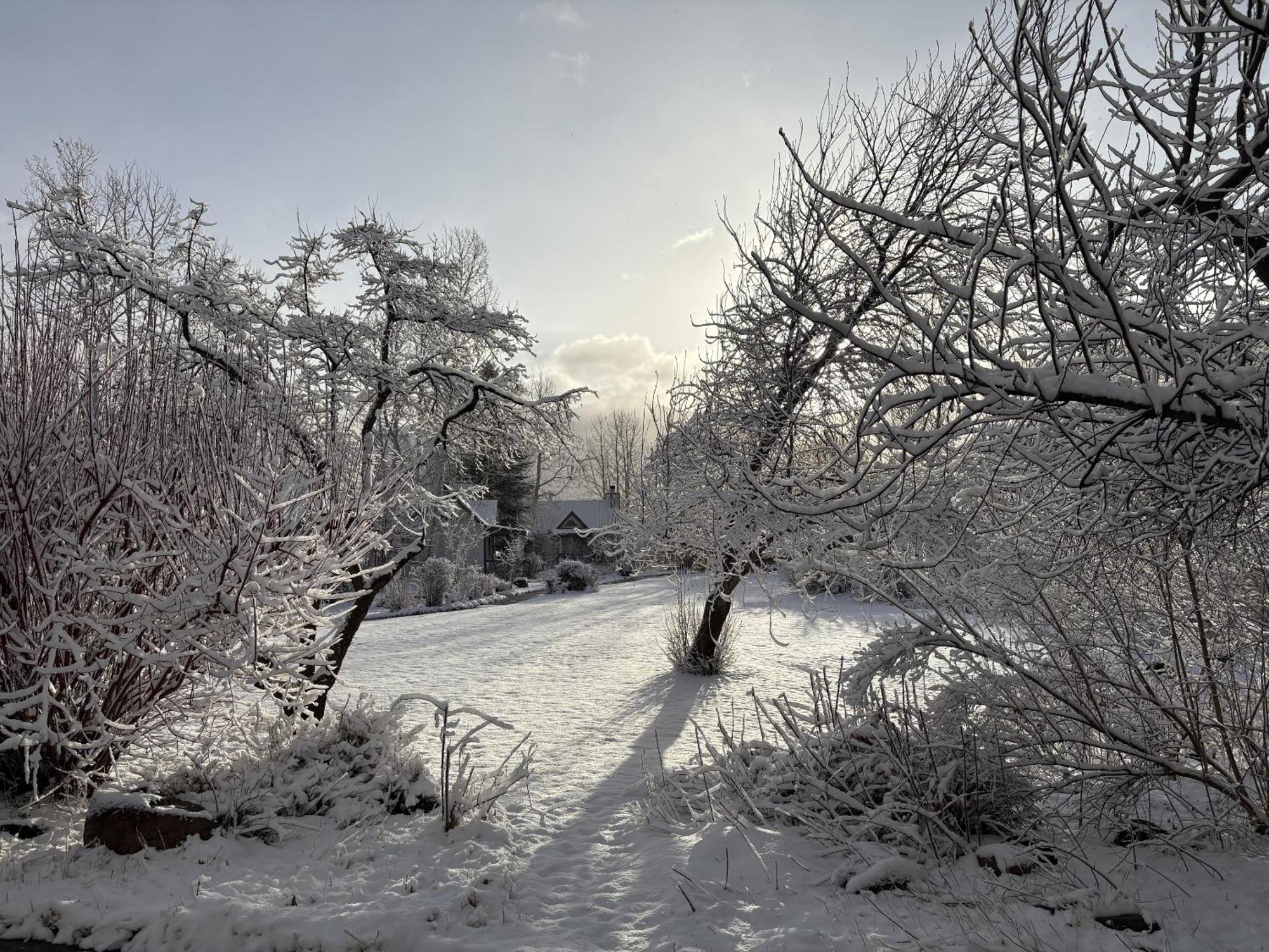 Hermosa Apple Orchard Inn المظهر الخارجي الصورة