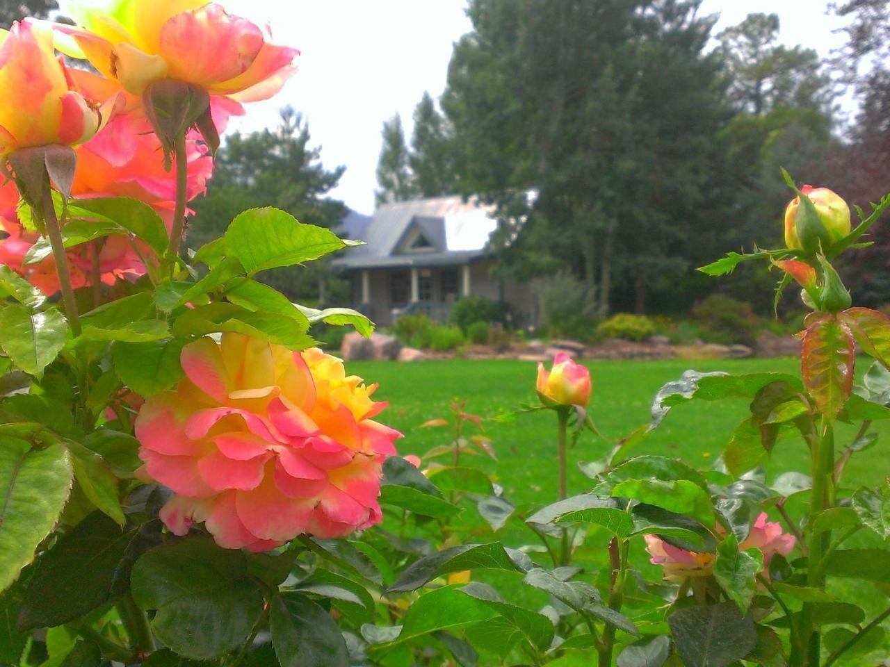 Hermosa Apple Orchard Inn المظهر الخارجي الصورة
